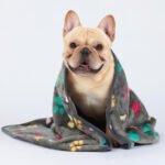 Pet Blanket Dog Cat Pad Warm Blanket Confetti Bone Dog's Paw Blanket - Image 2