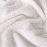 Panda series flannel blanket - Image 5