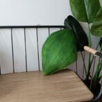 Sofa Fabric Viridiplantae Cactus Decorative Pillow - Image 10